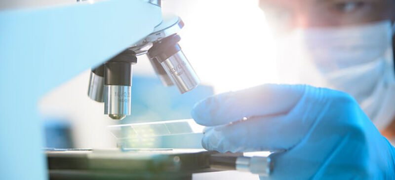 Allergy UK seal of approval