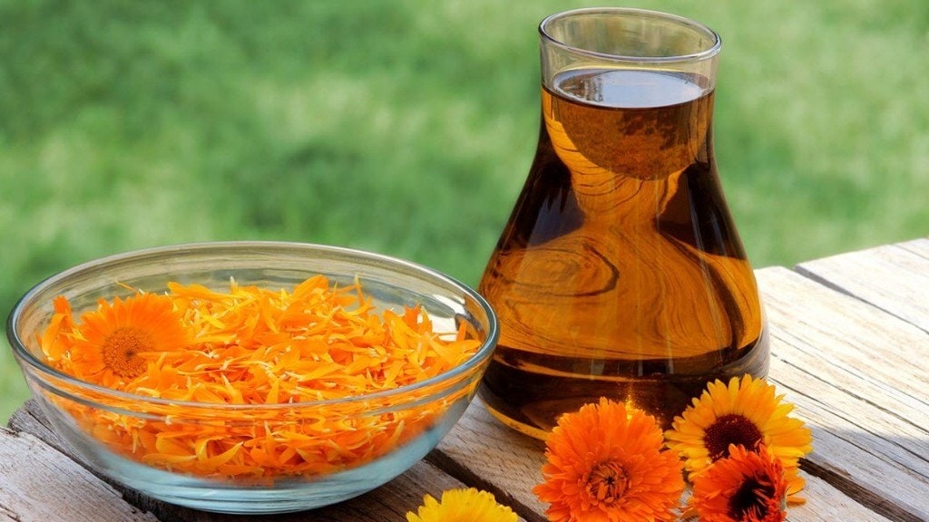 Calendula essential oil