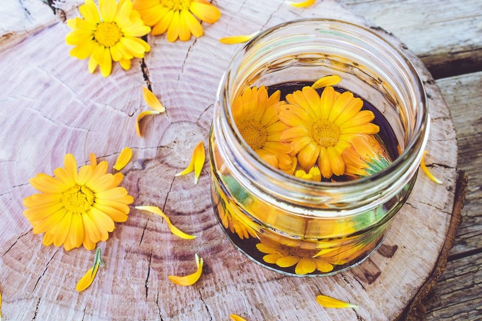 calendula oil