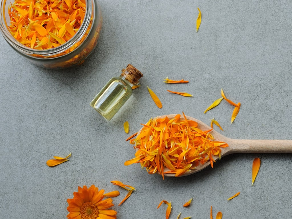 calendula oil