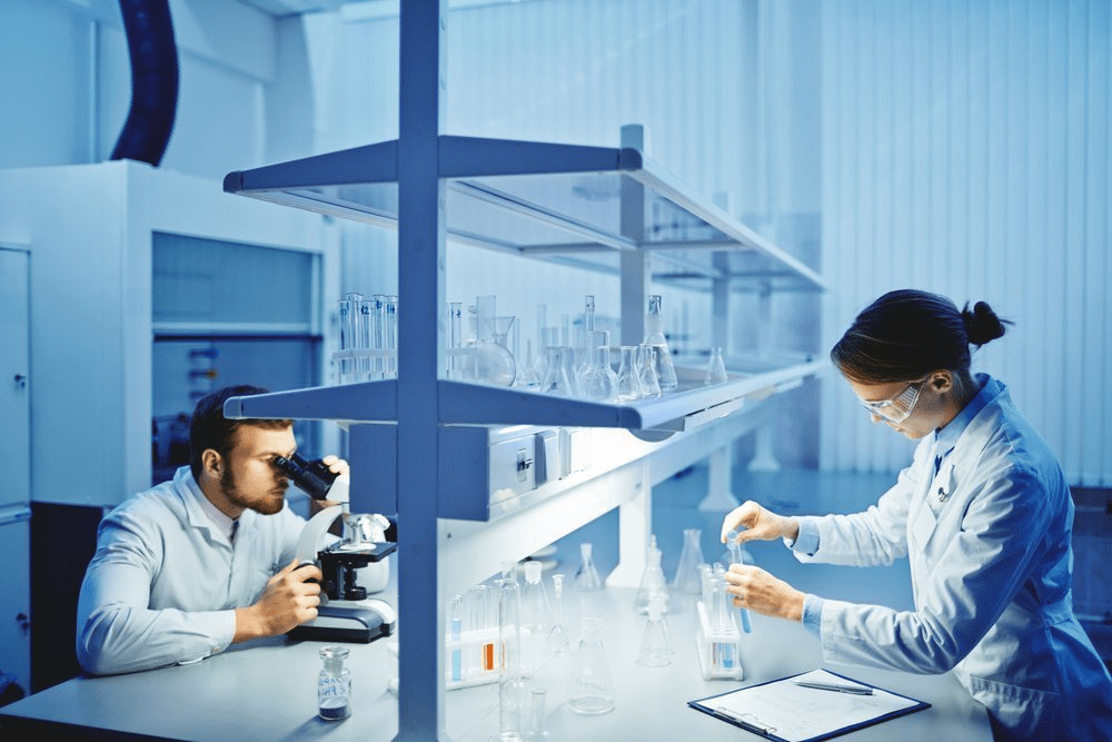 gmp license gmp license