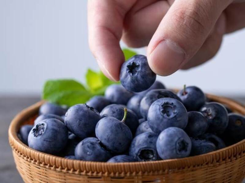 paraben là chất gì