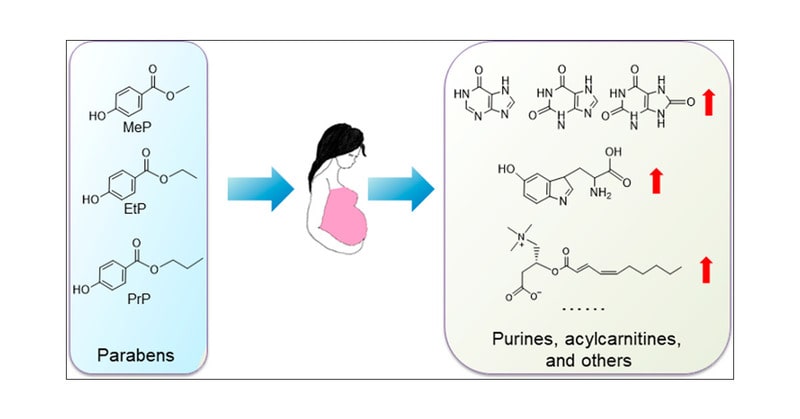 chất paraben là chất gì